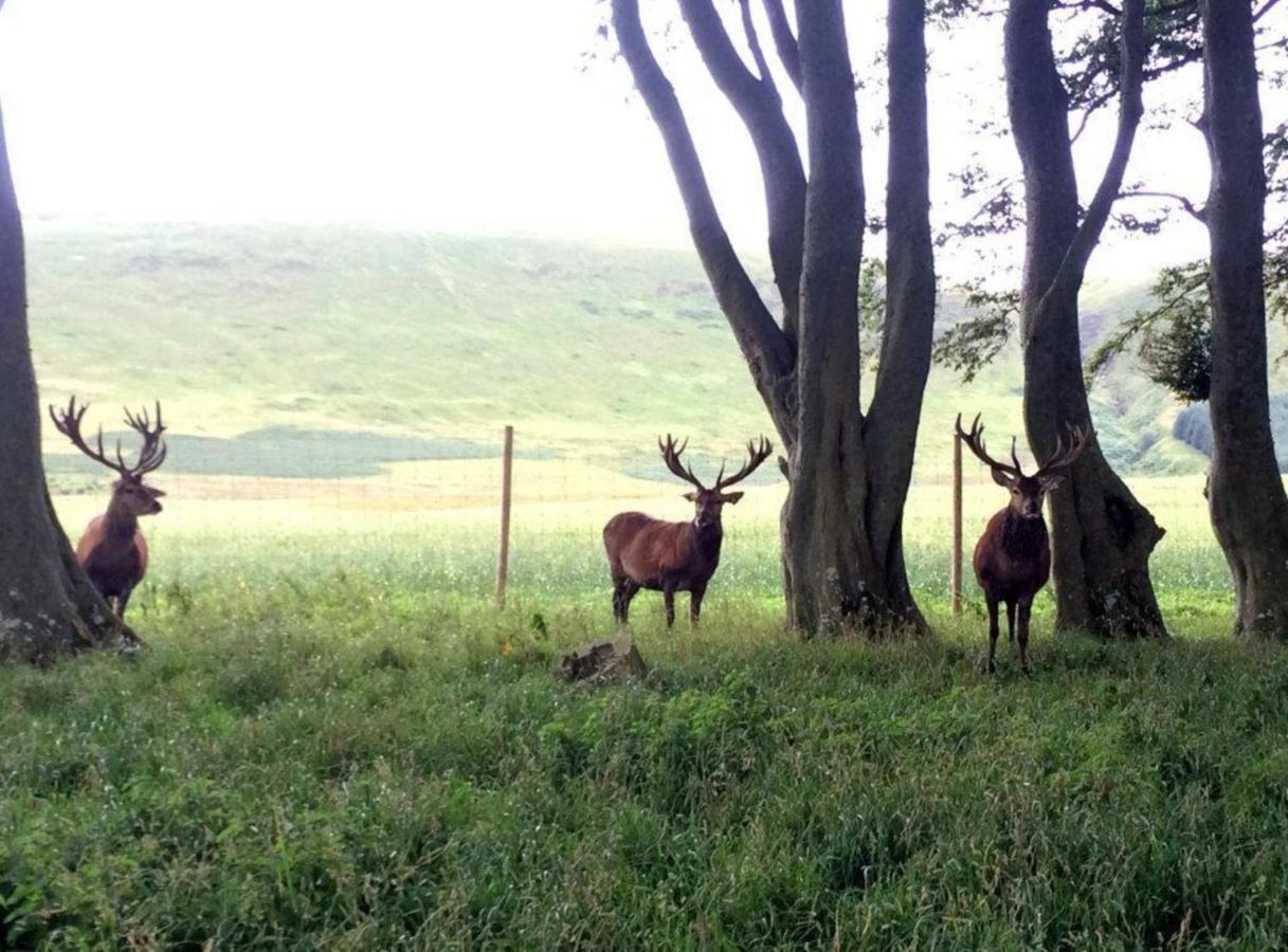 Mauldslie Hill Cottage Heriot Екстериор снимка